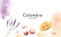 COLOMBIA / Huila Peñas Blancas