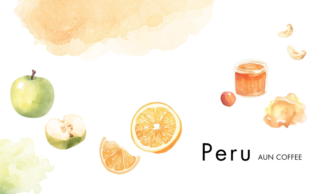 【NEW】PERU / Armando soncco puno