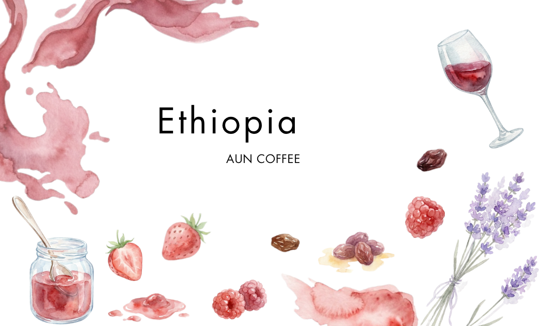 ETHIOPIA / Guji NG Indigo Washed