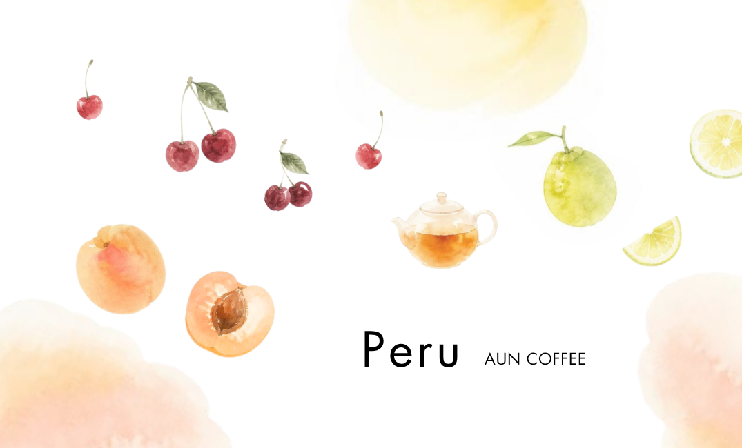 PERU / Lucia Quispe, Puno