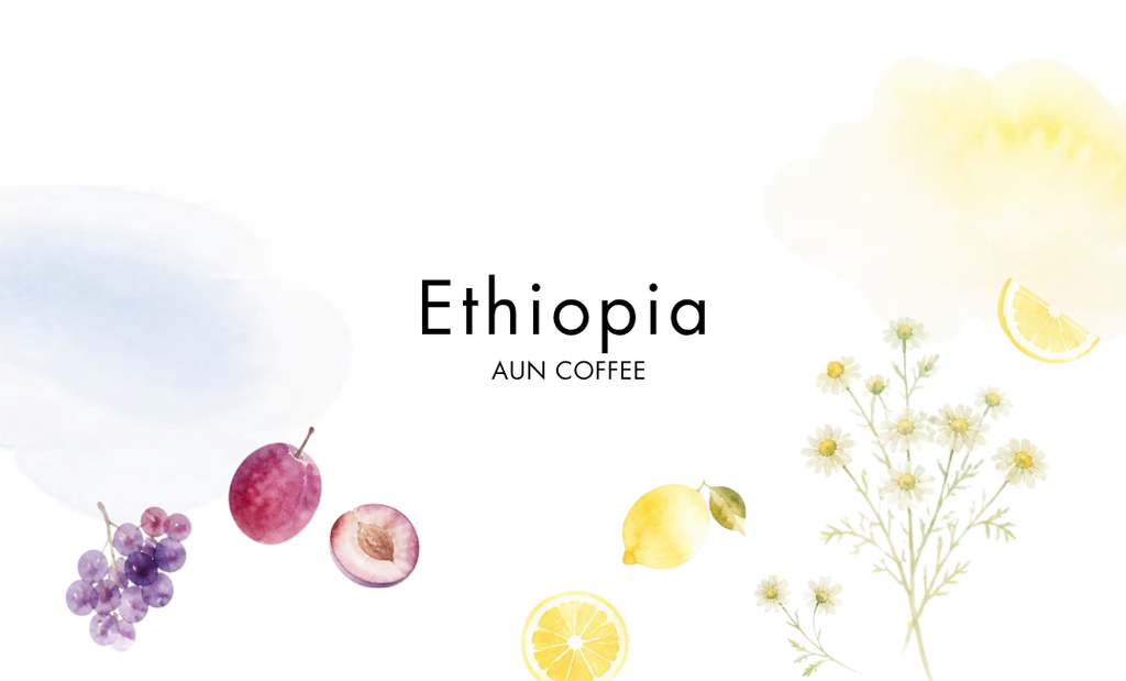 ETHIOPIA / Gedeb danche