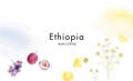 ETHIOPIA / Gedeb danche